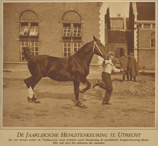 871456 Afbeelding van de het afdraven van een paard tijdens de jaarlijkse hengstenkeuring op het terrein van de Kazerne ...